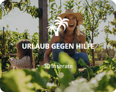 Produkt 1 Bild