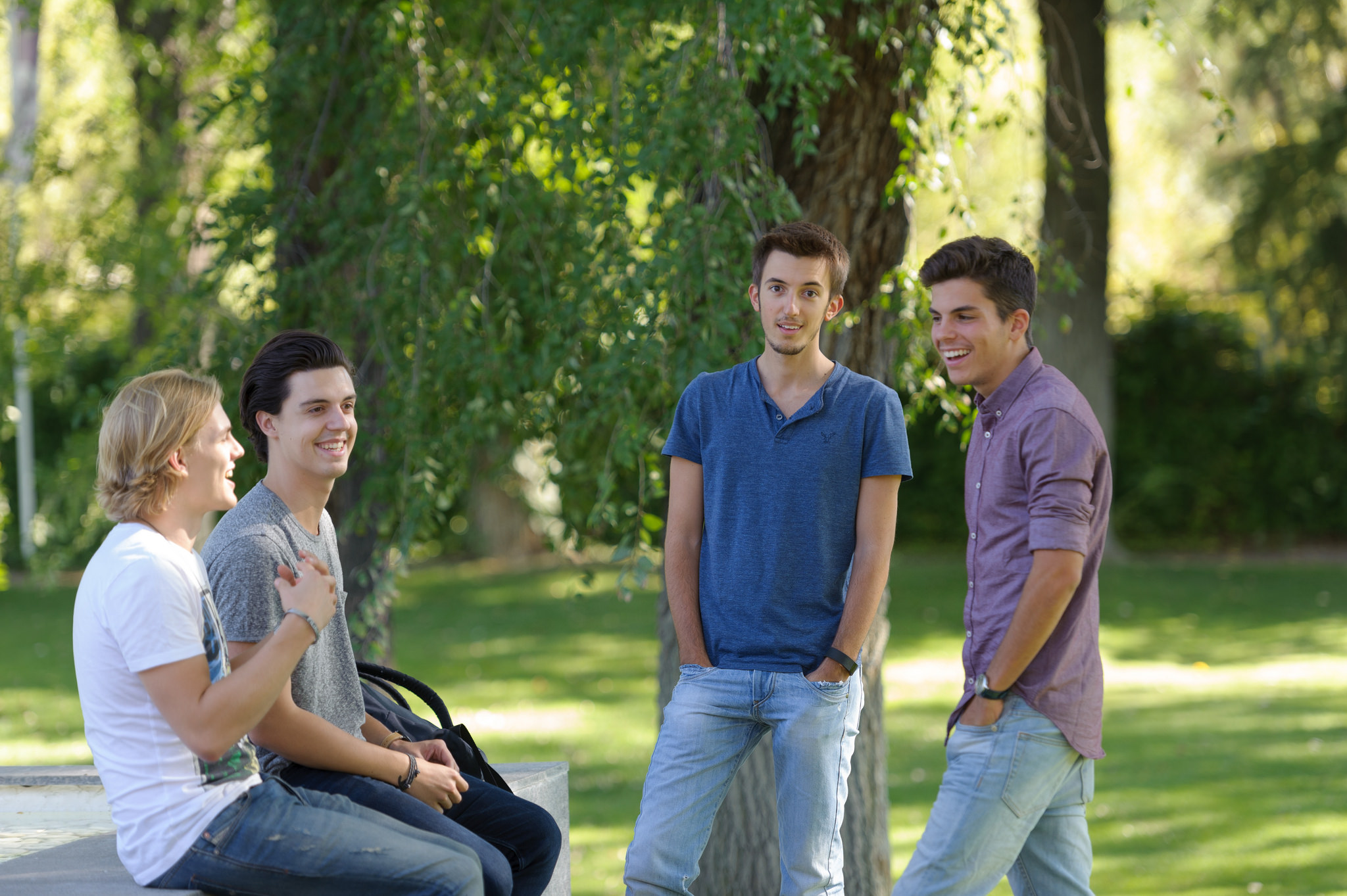 Produkt 1 Bild
