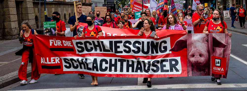 Animal Rights Watch e.V.