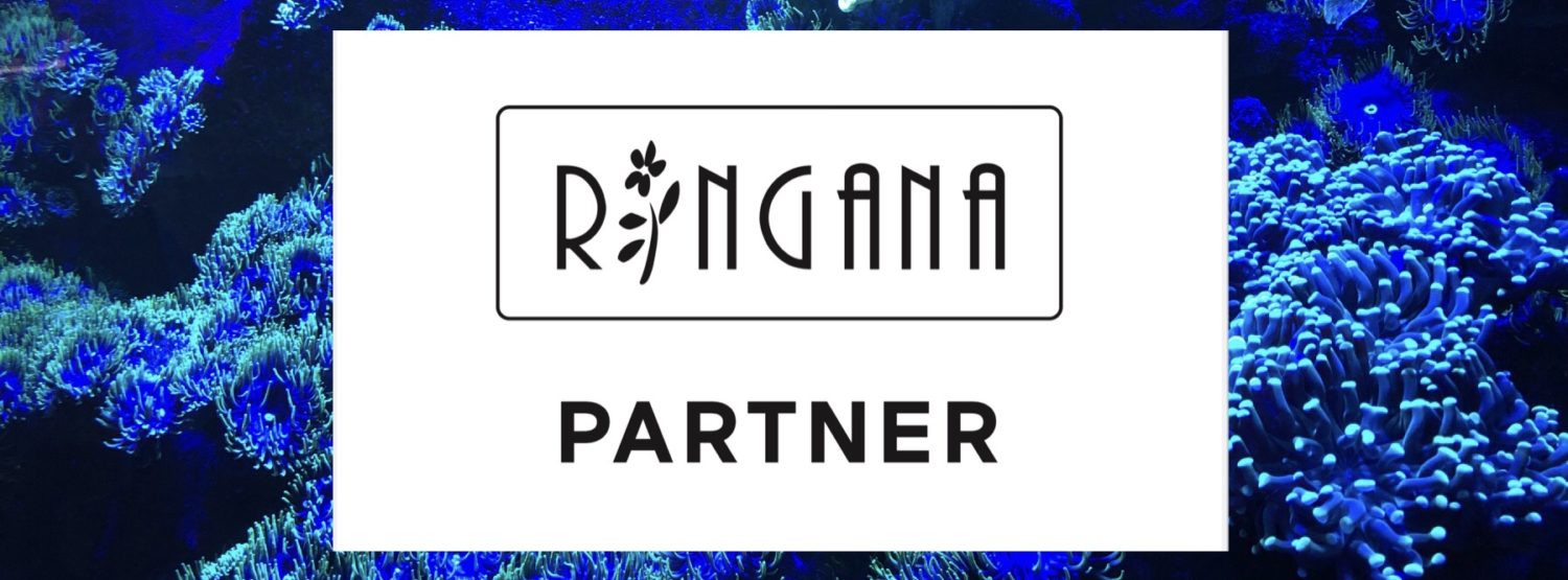 Ringana Partnerin Mag. Franziska Votruba