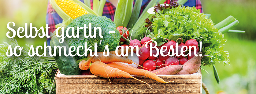 Selbsterntegarten