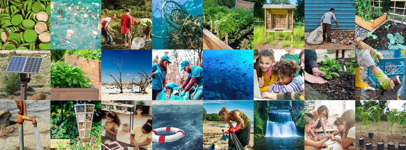 eco-projects.global