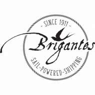 Brigantes
