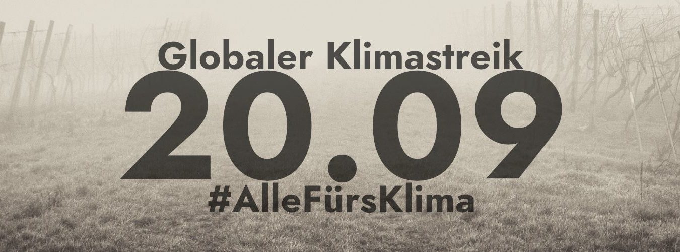 FRIDAYS FOR FUTURE