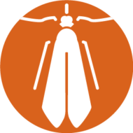 Klaamotte