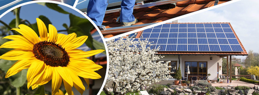 Solar Wiebe GmbH