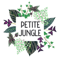 Petite Jungle